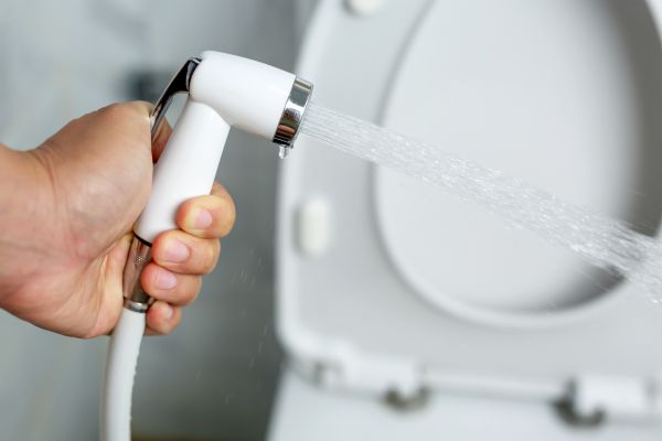 Cost of Bidet Installation in Cypress
