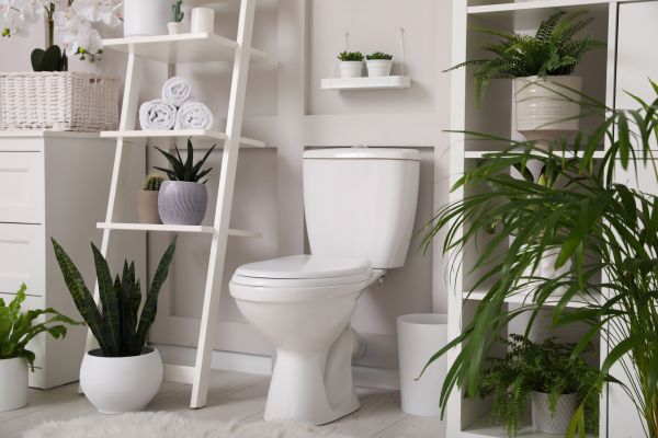 Cost of Toilet Repair in Cypress