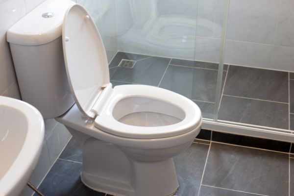 Cost of Toilet Replacement in Cypress