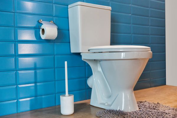 Cost of Toilet Tank Repair in Cypress