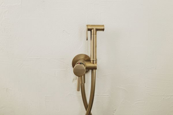 Cost of Bidet Plumbing in Cypress