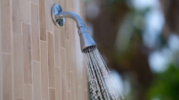 Cost of Showerhead Repair in Cypress
